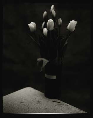 Black and White 33